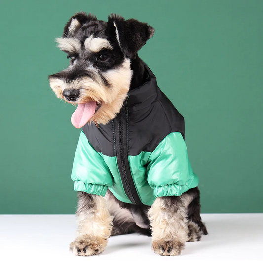 Dog Winter Jacket